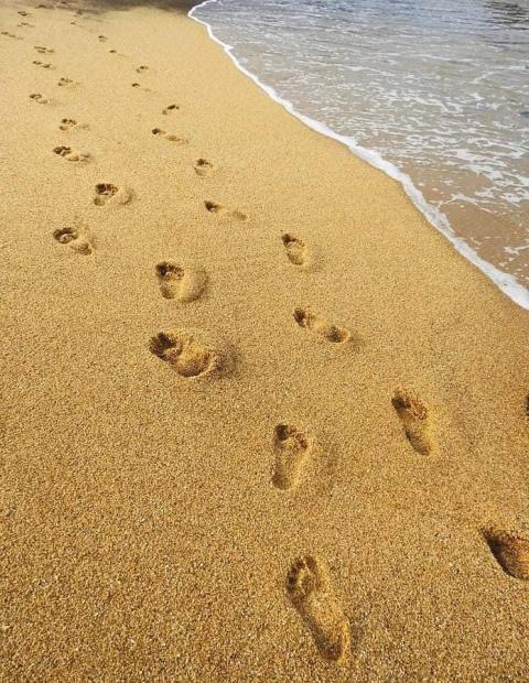 சுவடுகள்