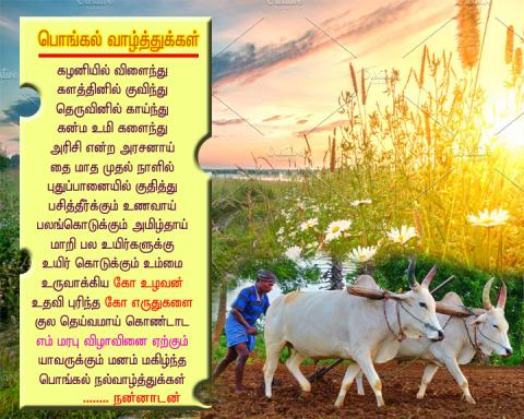பொங்கல் நல்வாழ்த்துக்கள்