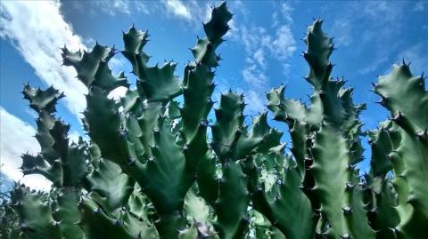 உன் நினைவுகளே எனக்கு பாரமாக  555