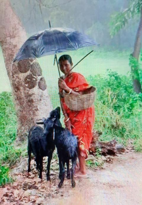 மழை போல் மனிதநேயம்