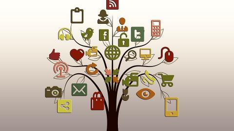 வலைதளம்