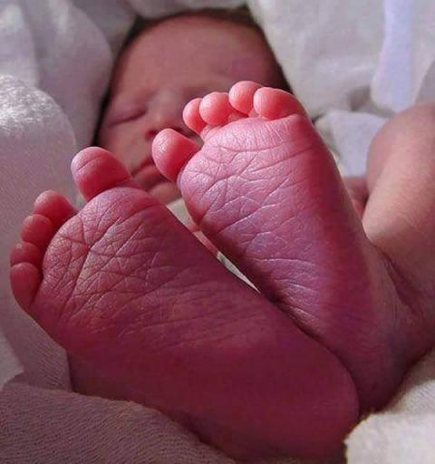 ரேகைகள் காட்டுது பாதையை