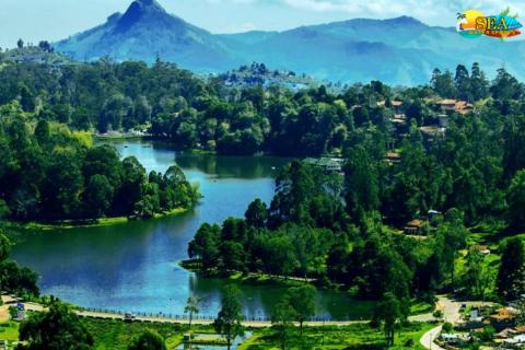 கோவை முதியோர்களின் உதகை