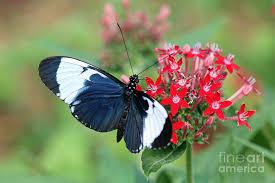 நம் வாழ்க்கை வாழ்வதற்க்கே  555