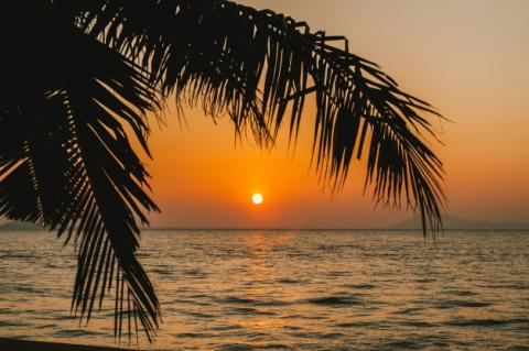 தேனெழுதும் பூக்களின் செவ்விதழ்த்   தோட்டத்தில்