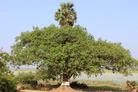 உயிருக்குள் உயிர்