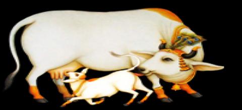 புன்னகை பூவிதழாள் பால்கறக்க வந்தபோது