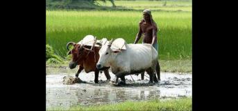 ஒப்பில்லா உழவு ( கவிதை திருவிழா )