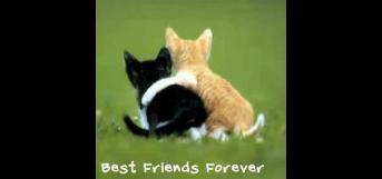 முகநூல் குழந்தைகள்