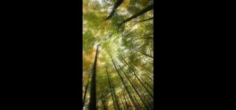 கற்று கொள்