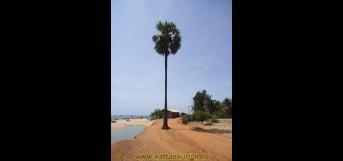 ஹைக்கூ...