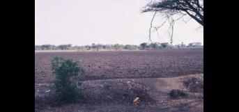 வானம் பார்த்த பூமி.....