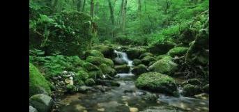 (4) தந்திர காட்டில் நான் ( 1.திக்குதெரியாத காட்டினிலே) (4) தந்திர காட்டில் நான் ( 1.திக்குதெரியாத காட்டினிலே)