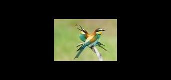 காதலர்கள் கவனத்திற்க்கு...!