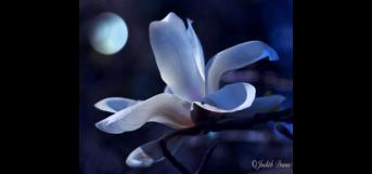 காத்திருப்பு...