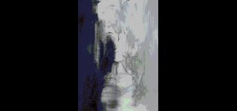 அகக்கண்ணாடி