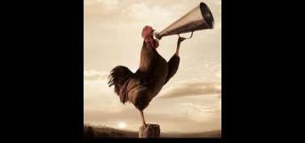 அதிகாலைப்பொழுது