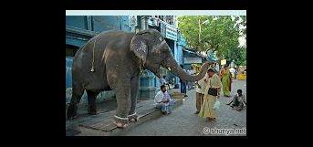 ஒரு ஜீவனின் கண்ணீர் ஒரு ஜீவனின் கண்ணீர்
