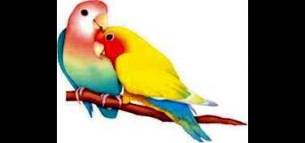 யாரடி  நீ ..???