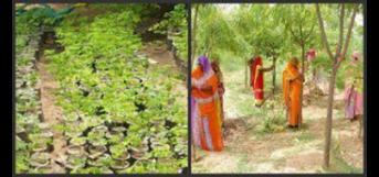 ஓர் அதிசயக் கிராமம்!