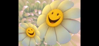 அடேய்...அரிச்சந்திரா! நீயும் பொய் பேசு..