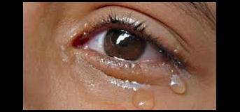 புகைப்படமாய்  நான்...!!!