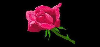 புகழ் வேண்டாம் புண்ணியம் செய்