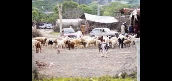 அந்த நாட்கள் எங்கே ...?