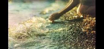 மழை நீரை சேகரிப்போம்.  . .