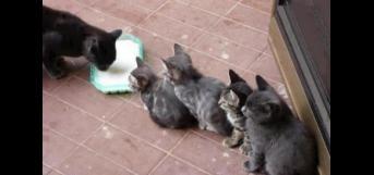 இவர்களிடம் கற்போம் ....!! இவர்களிடம் கற்போம் ....!!