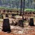 தென்னை மரம் பேசுகிறது