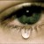 கவிதை கவிதை
