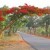 உனக்கு தெரியுமா