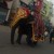 ஹைக்கூ கவிஞர் இரா இரவி ஹைக்கூ கவிஞர் இரா இரவி