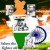 இந்தியாவின் நிகழ்காலம்