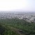 மரம்