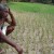விவசாயி - எஆர்முருகதாஸ் அவர்களுக்கு