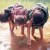 கடவுளே கண்திற