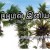 ஒரு வழிப்போக்கனின் கவிதை
