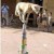 படம் உதவி பாவலர் புதுவைத் தமிழ்நெஞ்சன் படத்திற்கு ஹைக்கூ கவிஞர் இரா இரவி படம் உதவி பாவலர் புதுவைத் தமிழ்நெஞ்சன் படத்திற்கு ஹைக்கூ கவிஞர் இரா இரவி