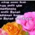 நட்பு நட்பு