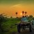 படம் உதவி பாவலர் புதுவைத் தமிழ்நெஞ்சன் படத்திற்கு ஹைக்கூ கவிஞர் இரா இரவி படம் உதவி பாவலர் புதுவைத் தமிழ்நெஞ்சன் படத்திற்கு ஹைக்கூ கவிஞர் இரா இரவி