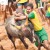 தினமணி  கவிதைமணி  தந்த  தலைப்பு     நீதியைத்  தேடி   கவிஞர்  இரா  இரவி 
