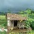 படம் உதவி பாவலர் புதுவைத் தமிழ்நெஞ்சன்   படத்திற்கு ஹைக்கூ  கவிஞர் இரா இரவி 