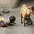 படம் உதவி பாவலர் புதுவைத் தமிழ்நெஞ்சன்   படத்திற்கு ஹைக்கூ  கவிஞர் இரா இரவி 