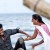 கடலை