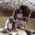 படம் உதவி பாவலர் புதுவைத் தமிழ்நெஞ்சன்   படத்திற்கு ஹைக்கூ   கவிஞர் இரா இரவி 