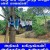 படம் உதவி பாவலர் புதுவைத் தமிழ்நெஞ்சன் படத்திற்கு ஹைக்கூ கவிஞர் இரா இரவி படம் உதவி பாவலர் புதுவைத் தமிழ்நெஞ்சன் படத்திற்கு ஹைக்கூ கவிஞர் இரா இரவி