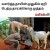 படம் உதவி பாவலர் புதுவைத் தமிழ்நெஞ்சன் படத்திற்கு ஹைக்கூ கவிஞர் இரா இரவி படம் உதவி பாவலர் புதுவைத் தமிழ்நெஞ்சன் படத்திற்கு ஹைக்கூ கவிஞர் இரா இரவி