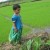 தினமணி கவிதைமணி இணையம் தந்த தலைப்பு   பச்சை நிலம்  கவிஞர் இரா இரவி 